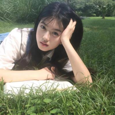 兔子镇的火狐狸